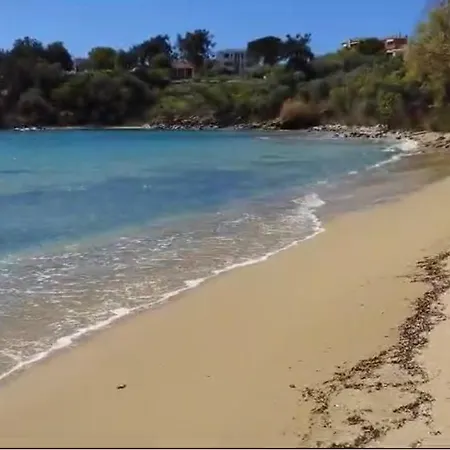 Olivia -ελιά * PalaiónTsiflíkion