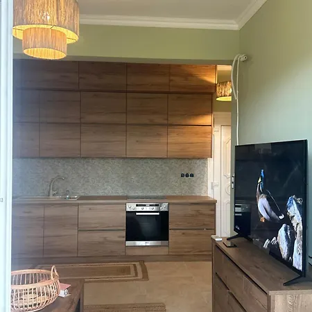 Apartment Olivia -ελιά *