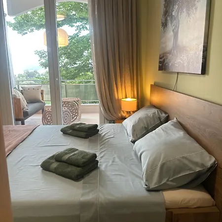 Apartment Olivia -ελιά Palaiontsiflikion