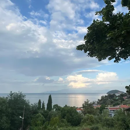 Apartment Olivia -ελιά