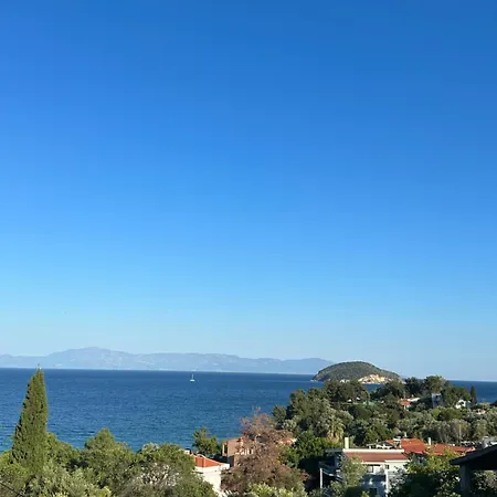 Apartment Olivia -ελιά Palaiontsiflikion