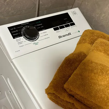 Olivia -ελιά PalaiónTsiflíkion