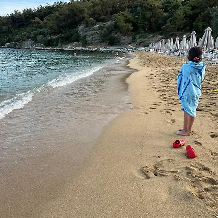 Olivia -ελιά PalaiónTsiflíkion