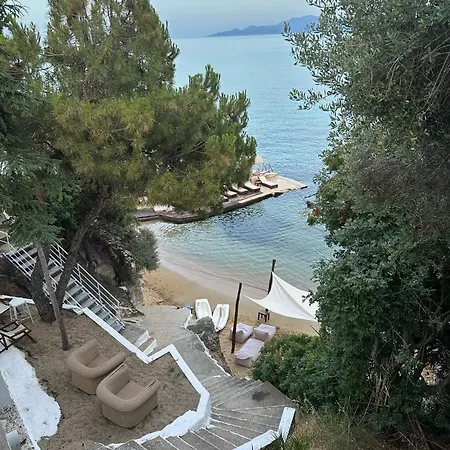 Apartment Olivia -ελιά