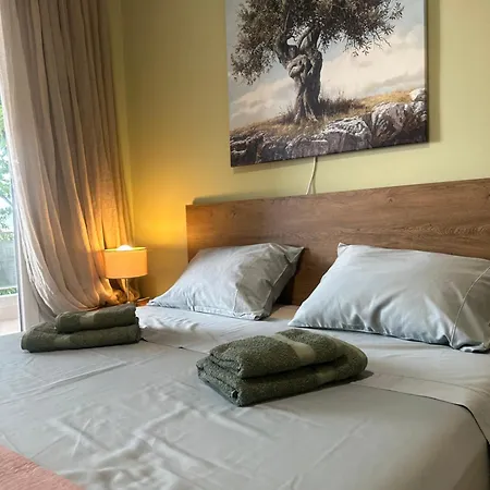 Olivia -ελιά Apartment Palaiontsiflikion