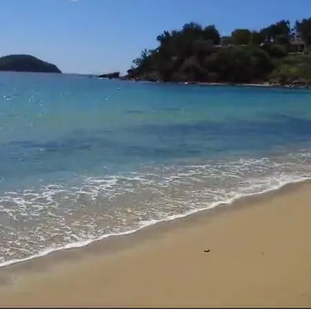 Olivia -ελιά PalaiónTsiflíkion