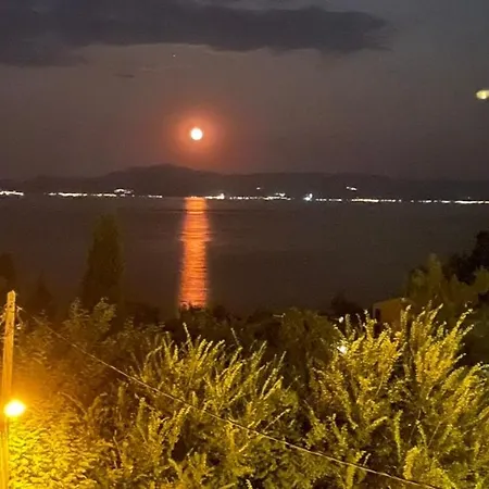 Olivia -ελιά PalaiónTsiflíkion