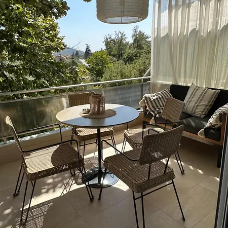 Olivia -ελιά * PalaiónTsiflíkion