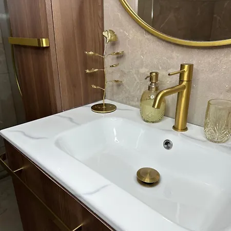 Olivia -ελιά Apartman PalaiónTsiflíkion