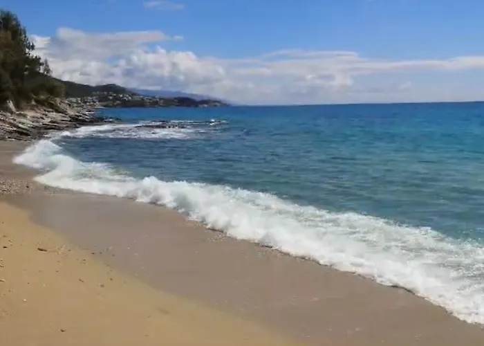 Olivia -ελιά Appartement PalaiónTsiflíkion