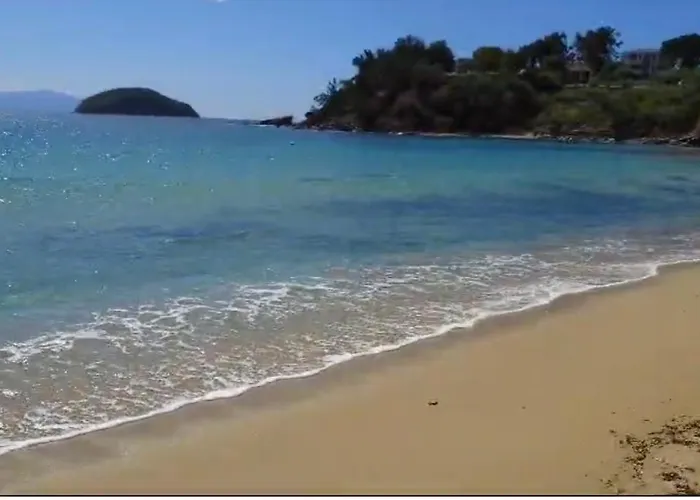 Olivia -ελιά PalaiónTsiflíkion