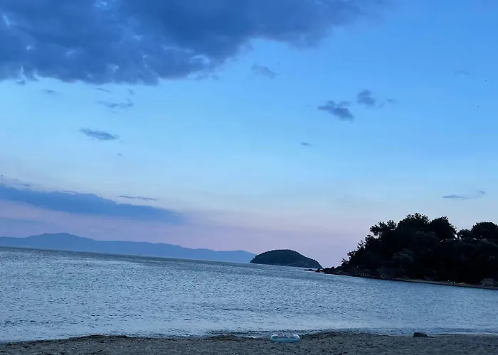 Olivia -ελιά Appartement PalaiónTsiflíkion