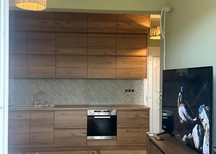 Appartement Olivia -ελιά *