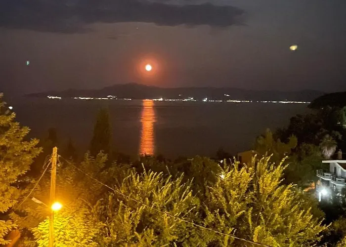 Olivia -ελιά PalaiónTsiflíkion