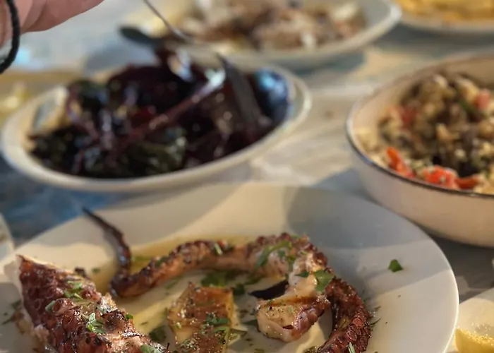 Olivia -ελιά * PalaiónTsiflíkion