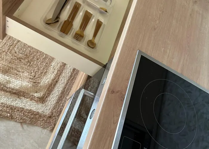 Olivia -ελιά Appartement PalaiónTsiflíkion