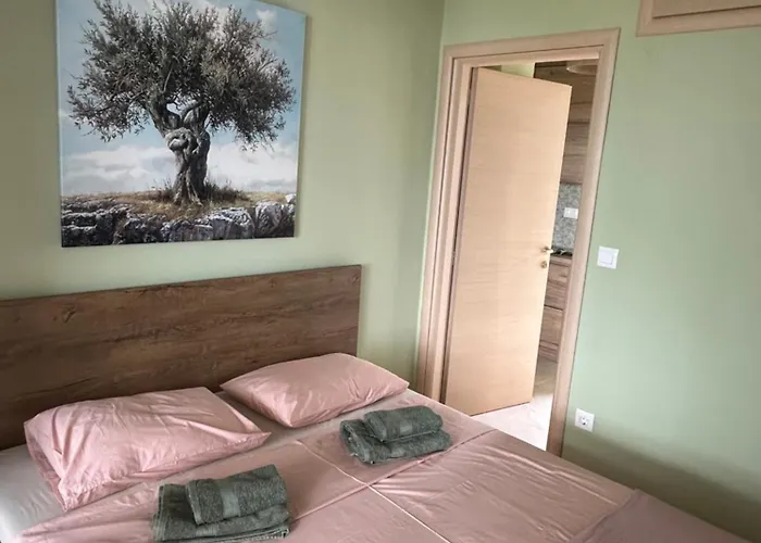 Appartement Olivia -ελιά PalaiónTsiflíkion