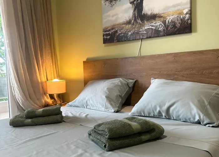 Olivia -ελιά Appartement PalaiónTsiflíkion