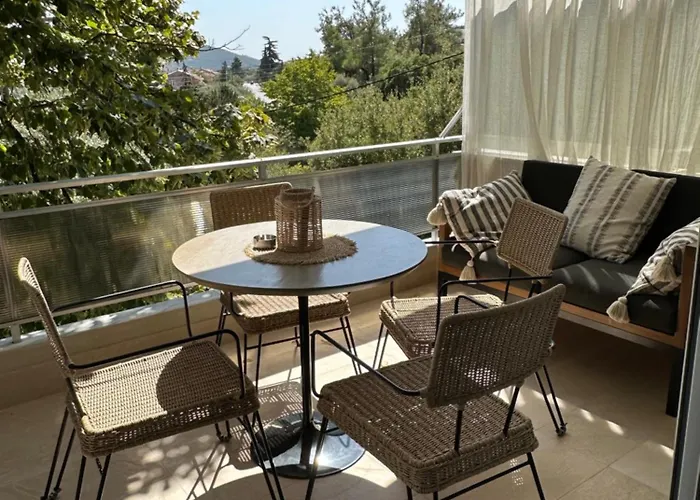 Olivia -ελιά * PalaiónTsiflíkion